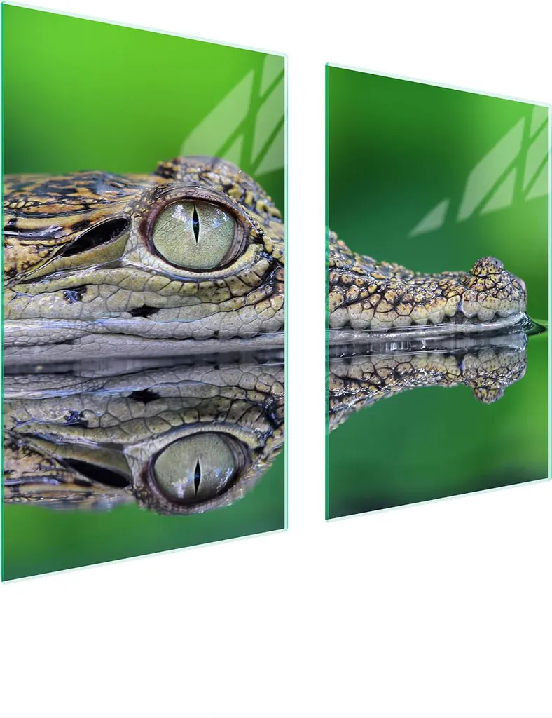 Pannello Protezione Cucina 65X52 Vetro Temperato Crocodillo Design