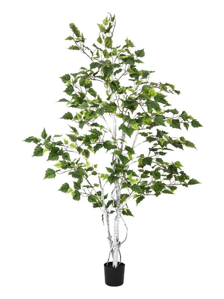 Bouleau Artificiel 150cm - La Solution Déco sans Arrosage ni Allergies