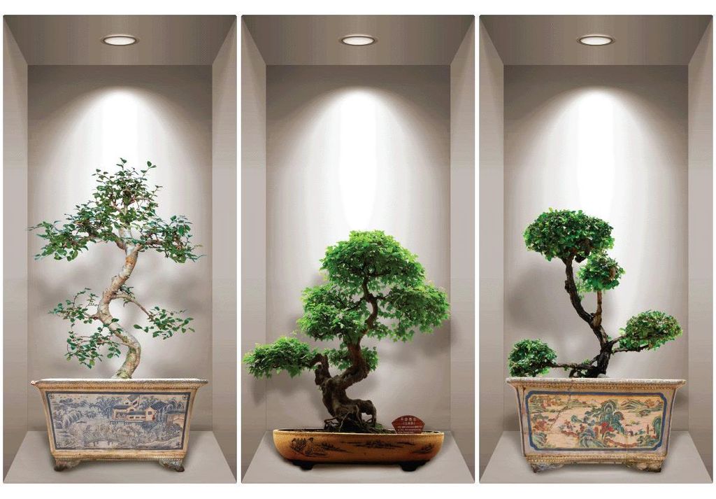 3D-Effekt-Aufkleber mit japanischen Bonsai-Bäumen, 80 x 120 cm