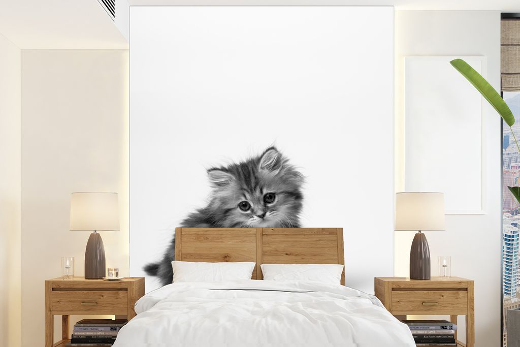 MuchoWow Fototapete für Wohnzimmer oder Schlafzimmer Wandtapete Vinyl Motivtapete Kätzchen mit weißem Hintergrund - 175x240 cm - Schlafzimmert...