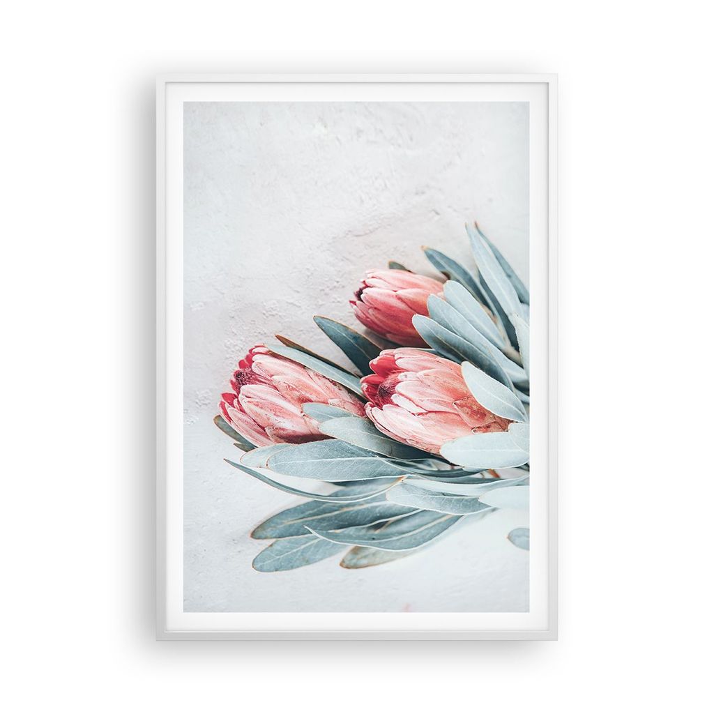 Gerahmtes Poster - Weißer Rahmen - Blume Eukalyptus Australier - 70x100 cm - Wand Bild - Wanddeko - Wandbilder - Kunstposter - Wandposter - Bilder...