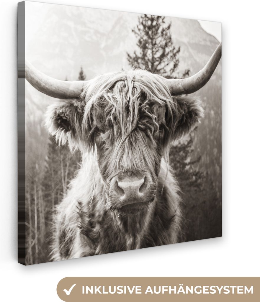 MuchoWow - Leinwandbilder - Schottischer Highlander - Kuh - Tiere - Schwarz - Weiß, Wandbild, Wanddeko Bilder Wohnzimmer, 20x20 cm