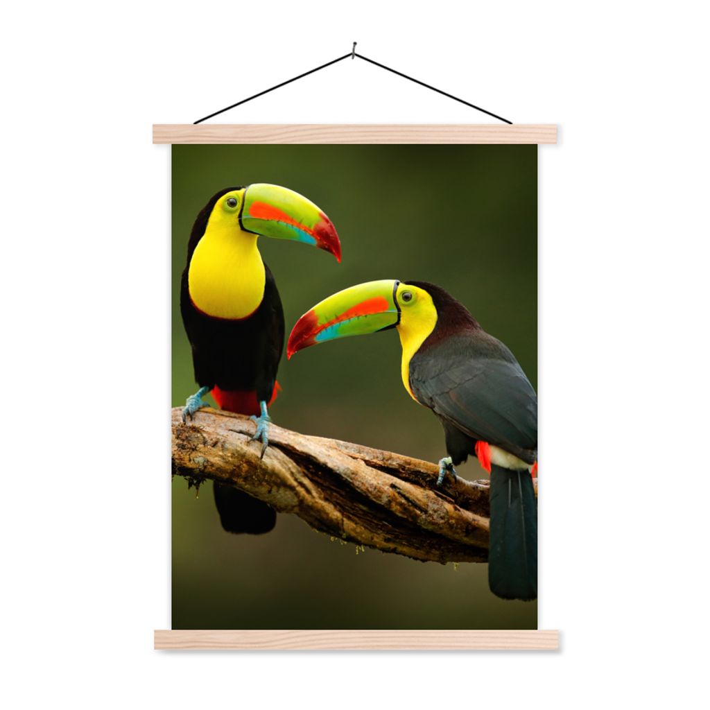 MuchoWow Textilposter Vögel - Tukan - Zweig - Tiere - Regenbogen 120x160 cm mit holzfarbenen Rahmen - Plakatkarton