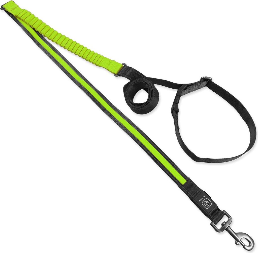 Leine Dog Fantasy USB LED Nylon Laufleine grün 2,5x180-250cm