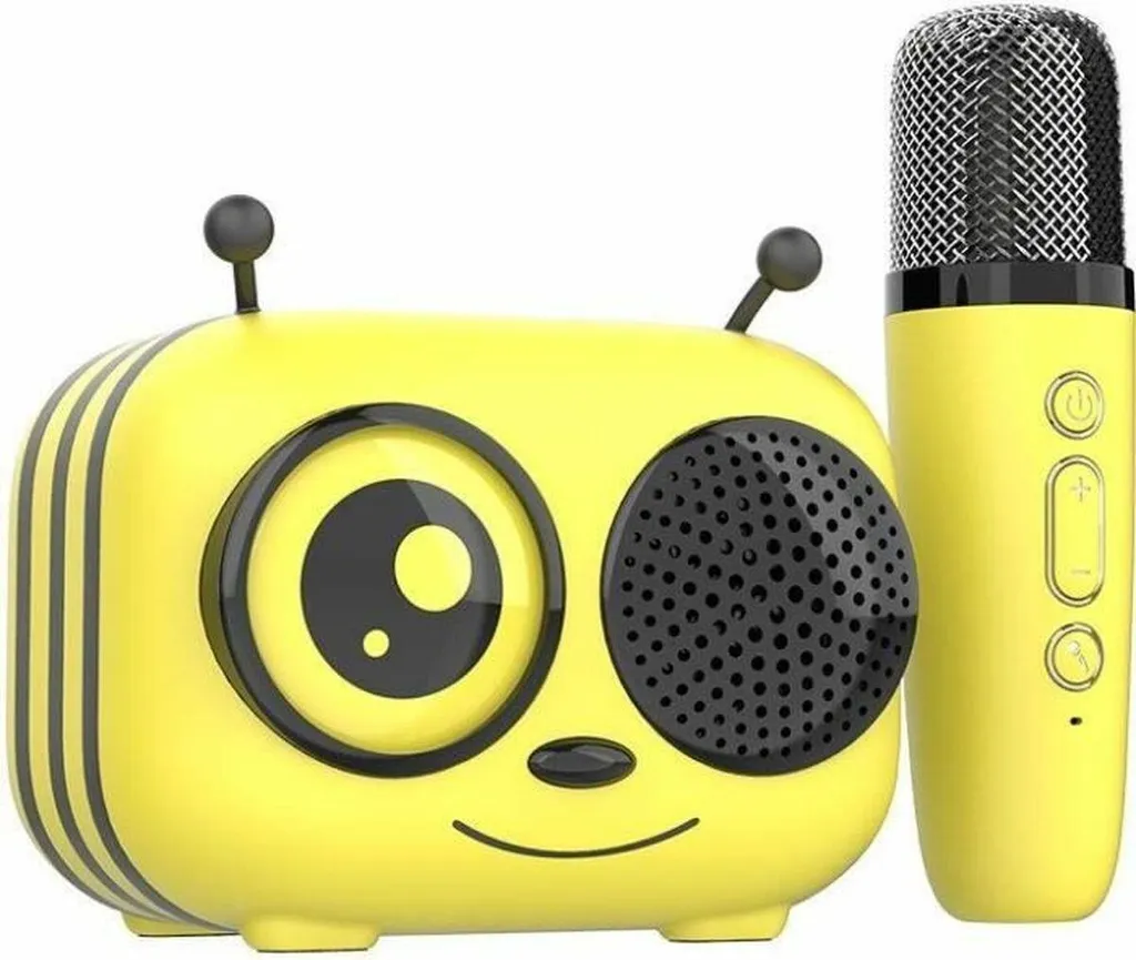 Kit karaoké Maya avec micro sans fil et enceinte Bluetooth portable USB
