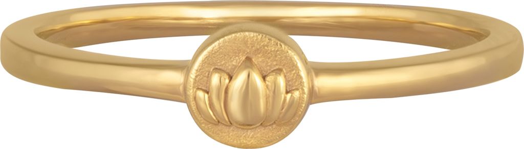 cai Ring 925/- Sterling Silber gelb 050 (15,9) ohne Stein 274270189