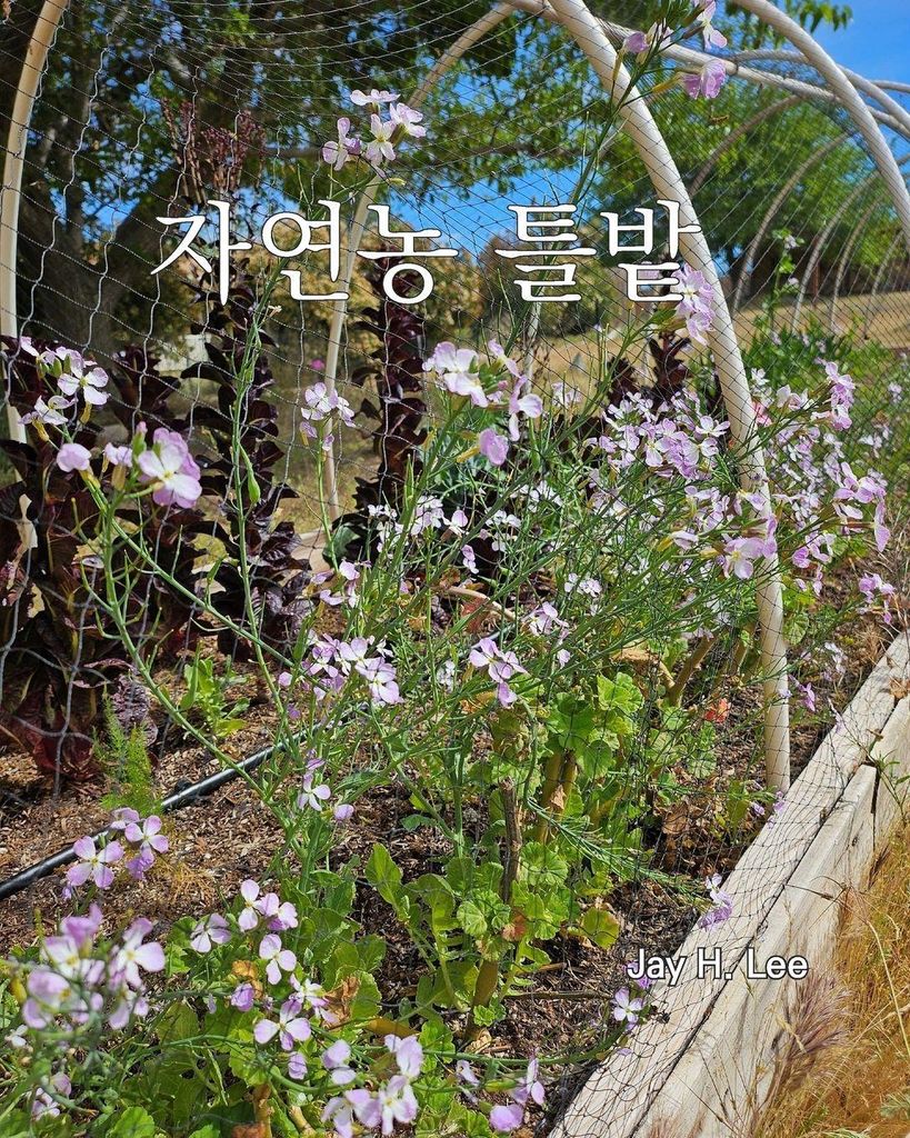 Natural Farming Raised Bed Gardening