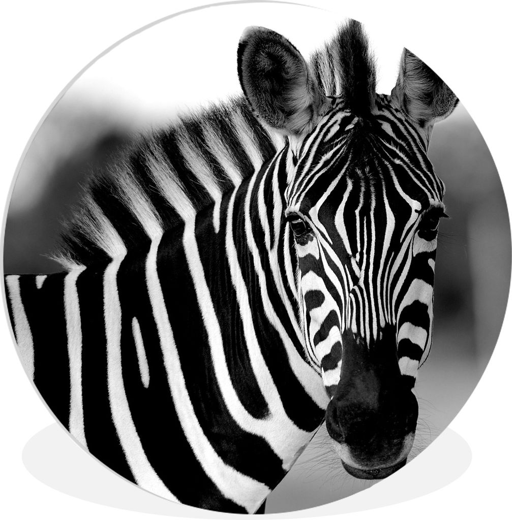 MuchoWow - Wand-Kreis - Wohnzimmer - Bild - Runde - Wanddeko - Dibond - Kunstdrucke