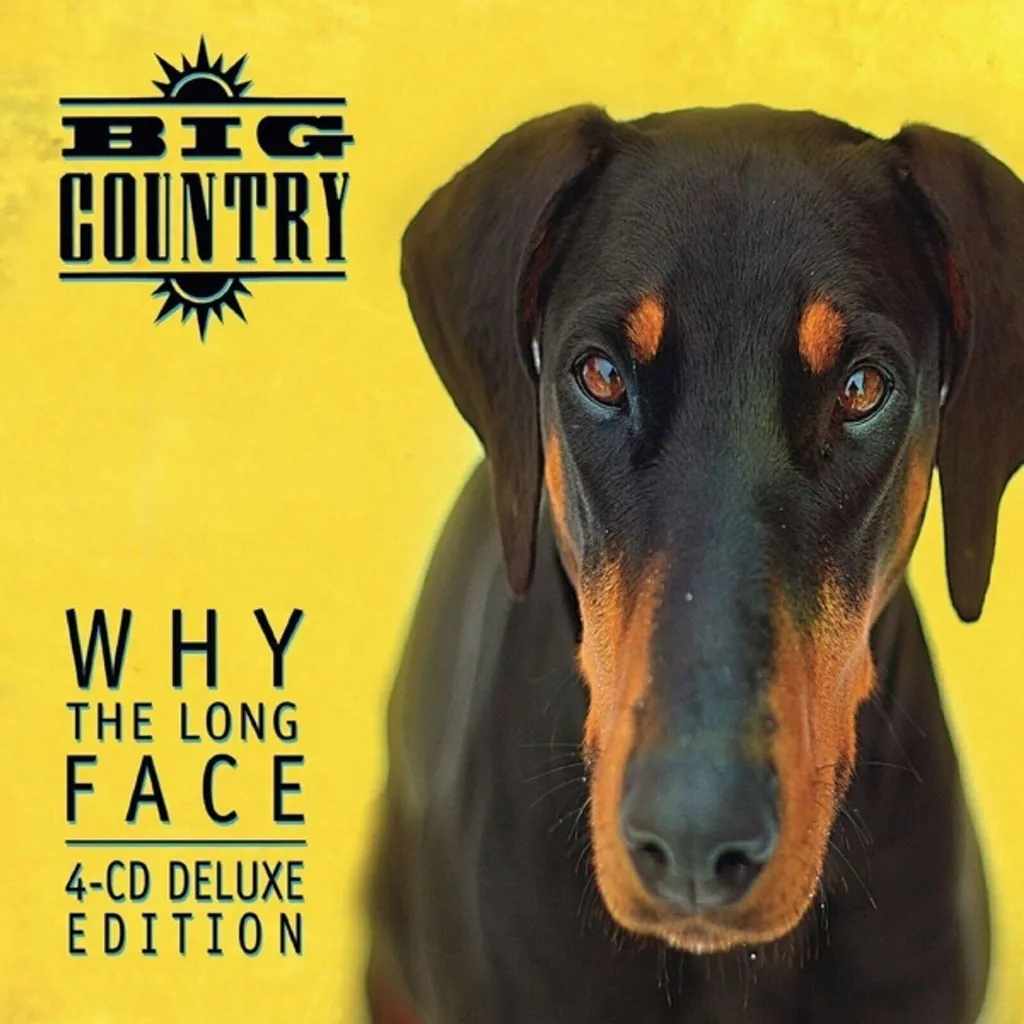 Album CD Pourquoi le long face par Grand pays - Support audio de qualité