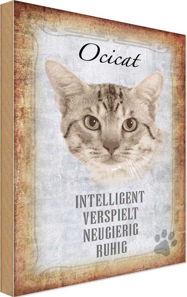 vianmo Holzschild 30x20 cm Ocicat Katze verspielt Tier Haustier
