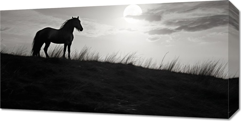 Bild 60x30cm Mondwache