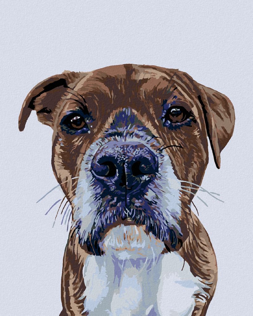 Zuty - Malen nach Zahlen - HUNDEBLICK, 40x50 cm, mit Keilrahmen (bereits gespannt)