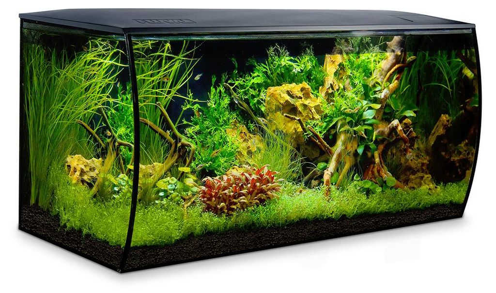 Fluval Flex | 123L | 82 x 40 x 39CM  Zwart Aquarium Productafbeelding 