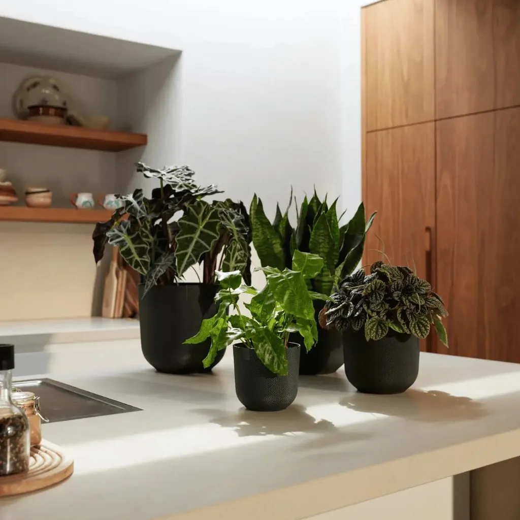 elho jazz rund pot 26cm noir mat résistant - design moderne et durable
