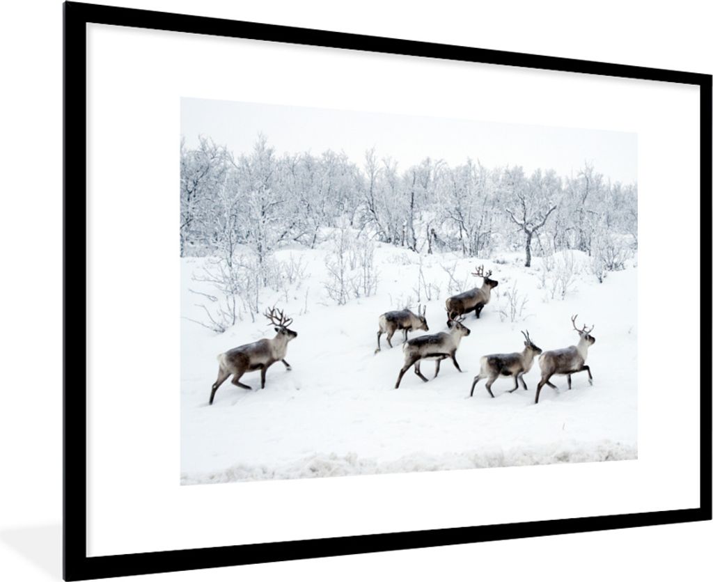MuchoWow MuchoWow Gerahmtes Poster Rentier - Schnee - Wald - Winter 90x60 cm - Poster mit zchwarzem Bilderrahmen - Wanddekoration - Fotos