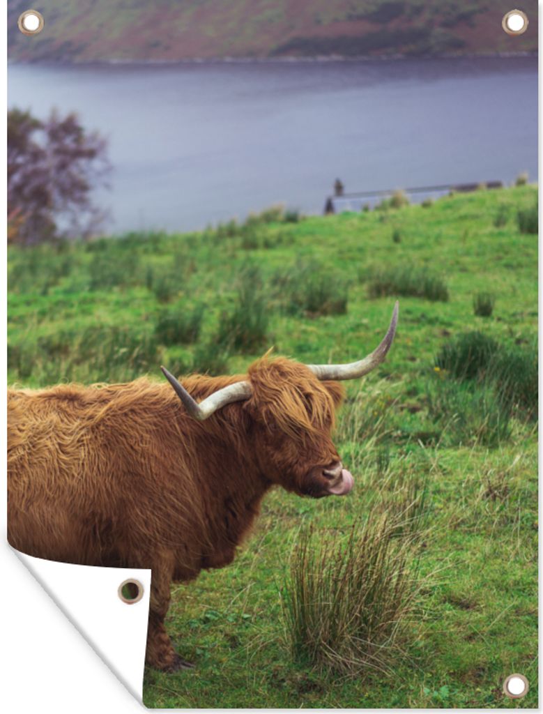 MuchoWow 90x120 cm Outdoor-Poster Gartendeko Sichtschutz Garten Poster für den Garten Schottische Highlander - Gras - Wasser - Tiere