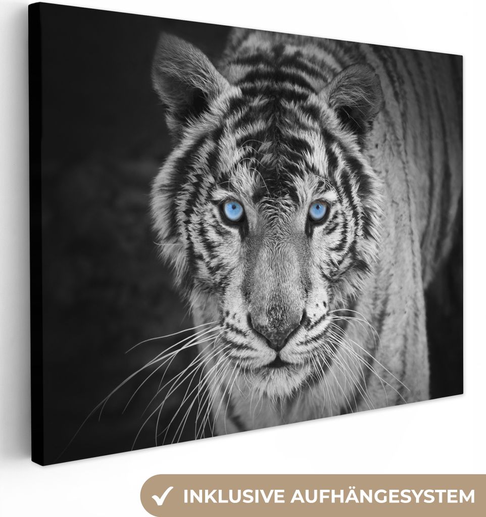 Wanddeko 80x60 cm - Tiere - Tiger - Schwarz - Blau - Modern, Deko Wohnzimmer, Bilder, Wanddeko