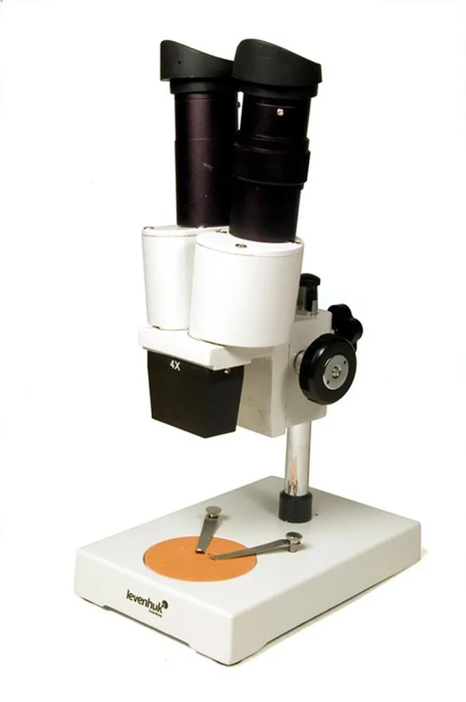 Loupe binoculaire Levenhuk 2ST 40x idéale pour bijoux et botanique