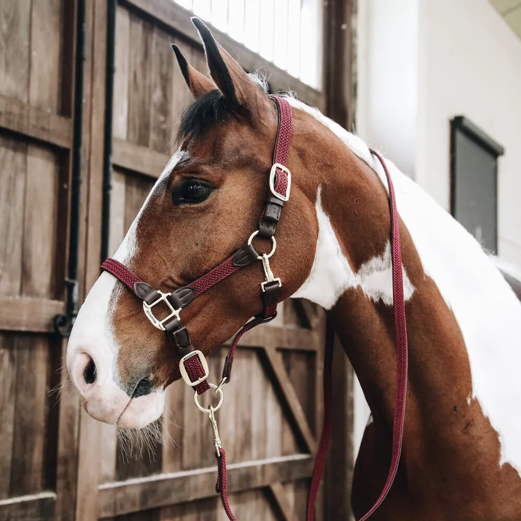 Kentucky Horsewear Stallhalfter Nylon intrecciato Halfter Nylonhalfter Bordeaux completo
