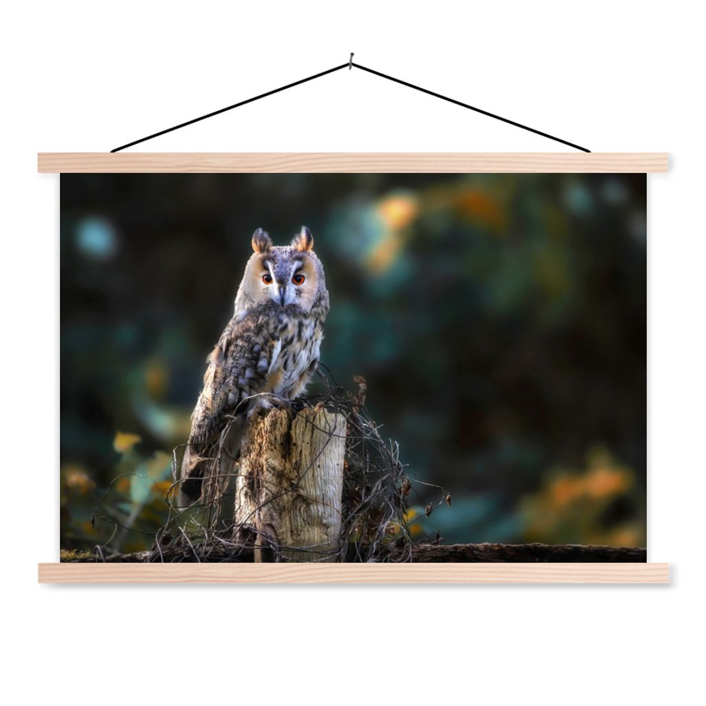 MuchoWow Textilposter Eule - Herbst - Vogel - Äste 60x40 cm mit holzfarbenen Rahmen - Bilder