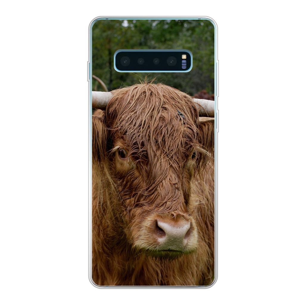 MuchoWow Handyhülle Schutzhülle Hülle für Samsung Galaxy S10 Plus Schottische Highlander - Tiere - Gras Silikon Softcase Handy Hülle - Schut...