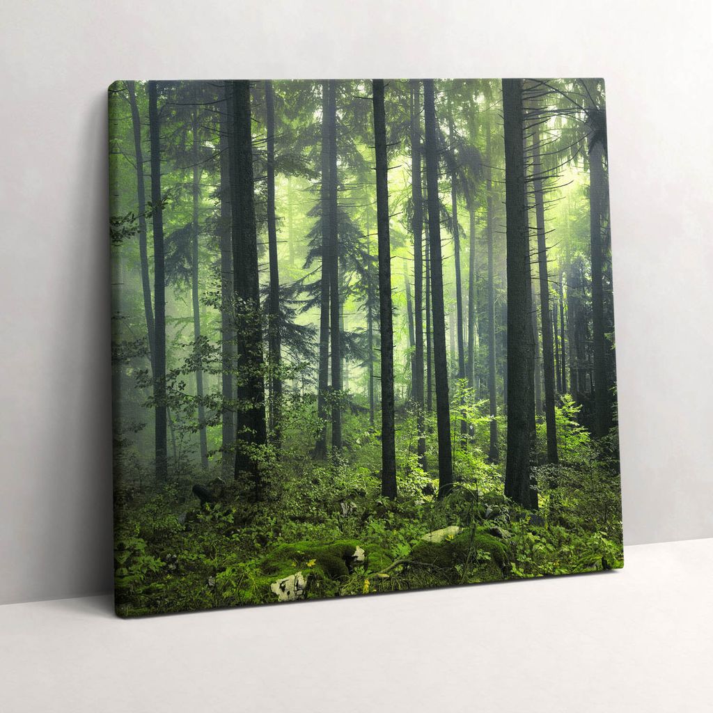 Landscape of trees and forest vegetation – Leinwandbild Wandbild – 60x60 cm – Leinwandbilder – Wandbilder – Schlafzimmer – Flur