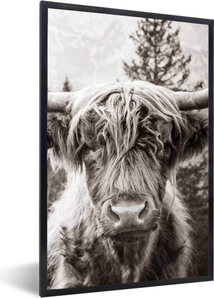 MuchoWow Gerahmtes Poster Schottischer Highlander - Kuh - Tiere - Schwarz - Weiß 20x30 cm - Poster mit Schwarzem Bilderrahmen Wandposter Rahmen ...