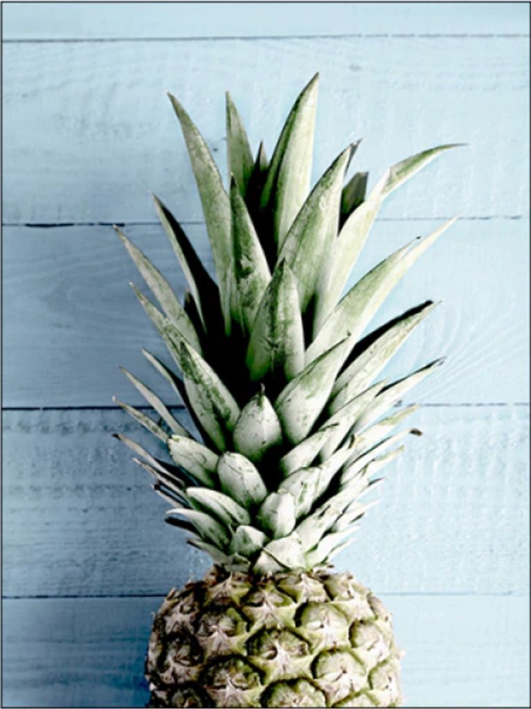 TPFLiving Kunstdruck LW-16 (OHNE RAHMEN) Poster - Leinwand - Wandbild - Hochauflösender Giclée-Druck, langlebig und hochwertig - Sommerlandschaft...