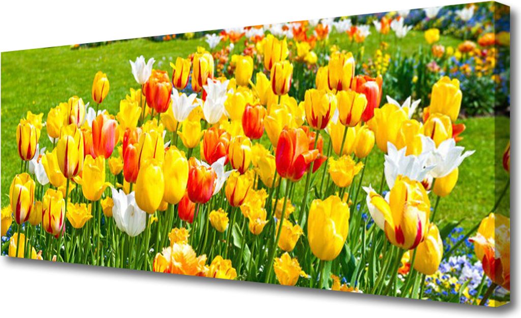 Tulup Leinwand-Bilder 125x50 Wandbild Canvas Kunstdruck Produktbild 