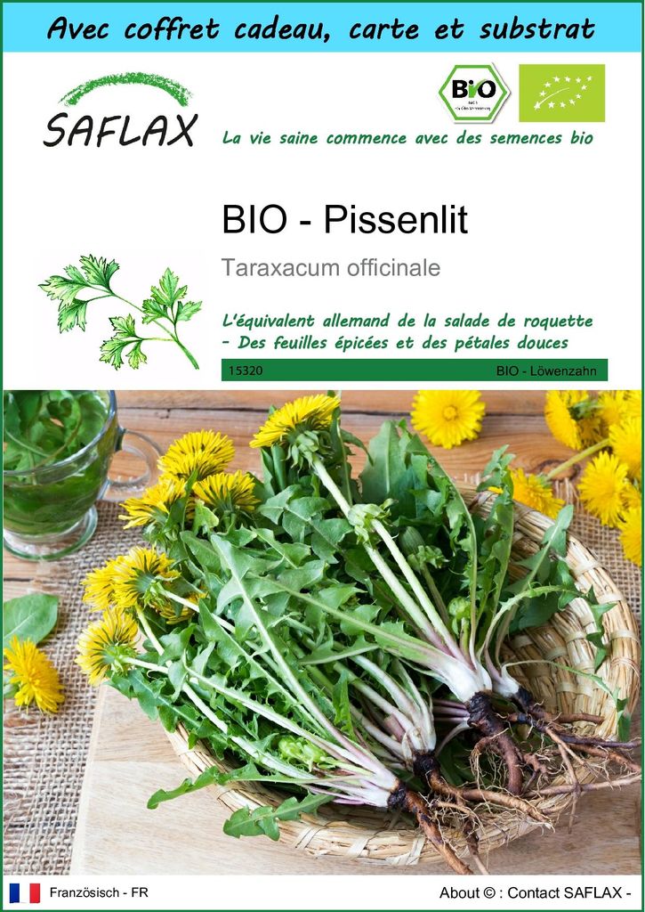 SAFLAX Ensemble-cadeau -- Pissenlit - 400 graines - Image du produit 
