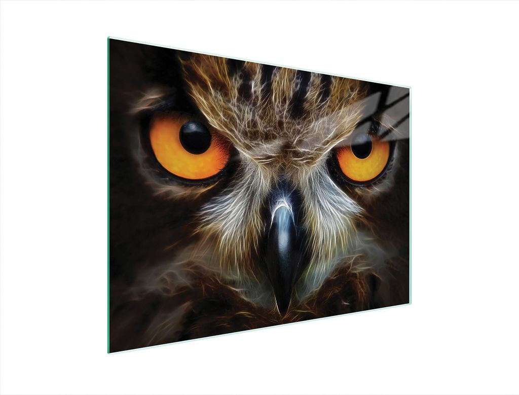 Glasschneidebrett 40x30 EULE