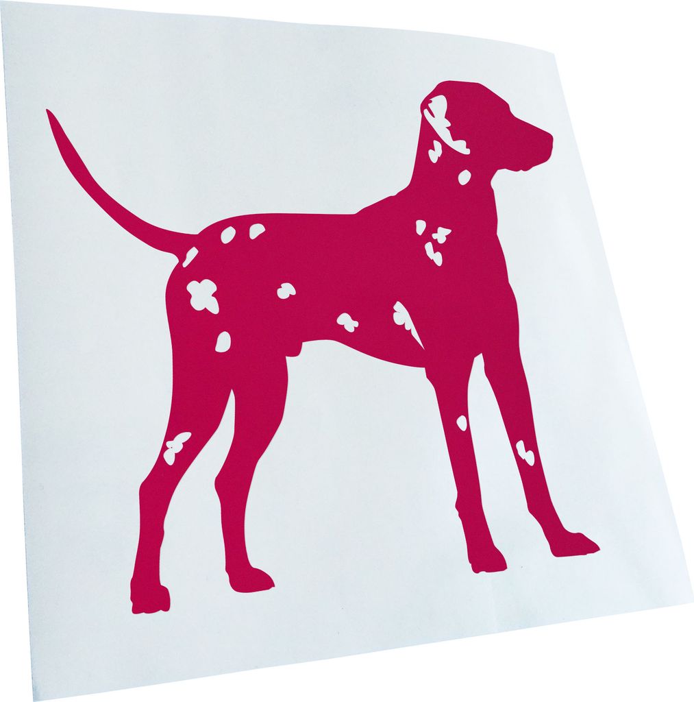 Kiwistar - Autoaufkleber - Dalmatiner Dalmatinac Hund Heckscheibenaufkleber - Aufkleber für Auto Kfz Fahrrad, LKW, Truck Mofa