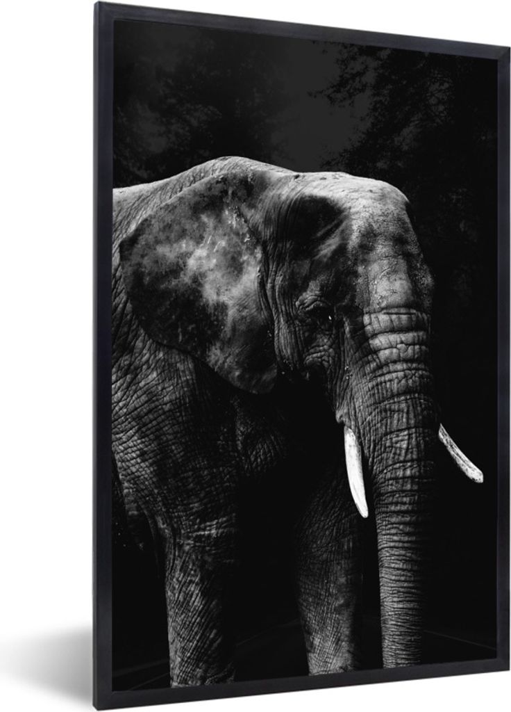 MuchoWow Gerahmtes Poster Elefant auf schwarzem Hintergrund - schwarz und weiß 20x30 cm - Poster mit Schwarzem Bilderrahmen Wandposter Rahmen Fo...