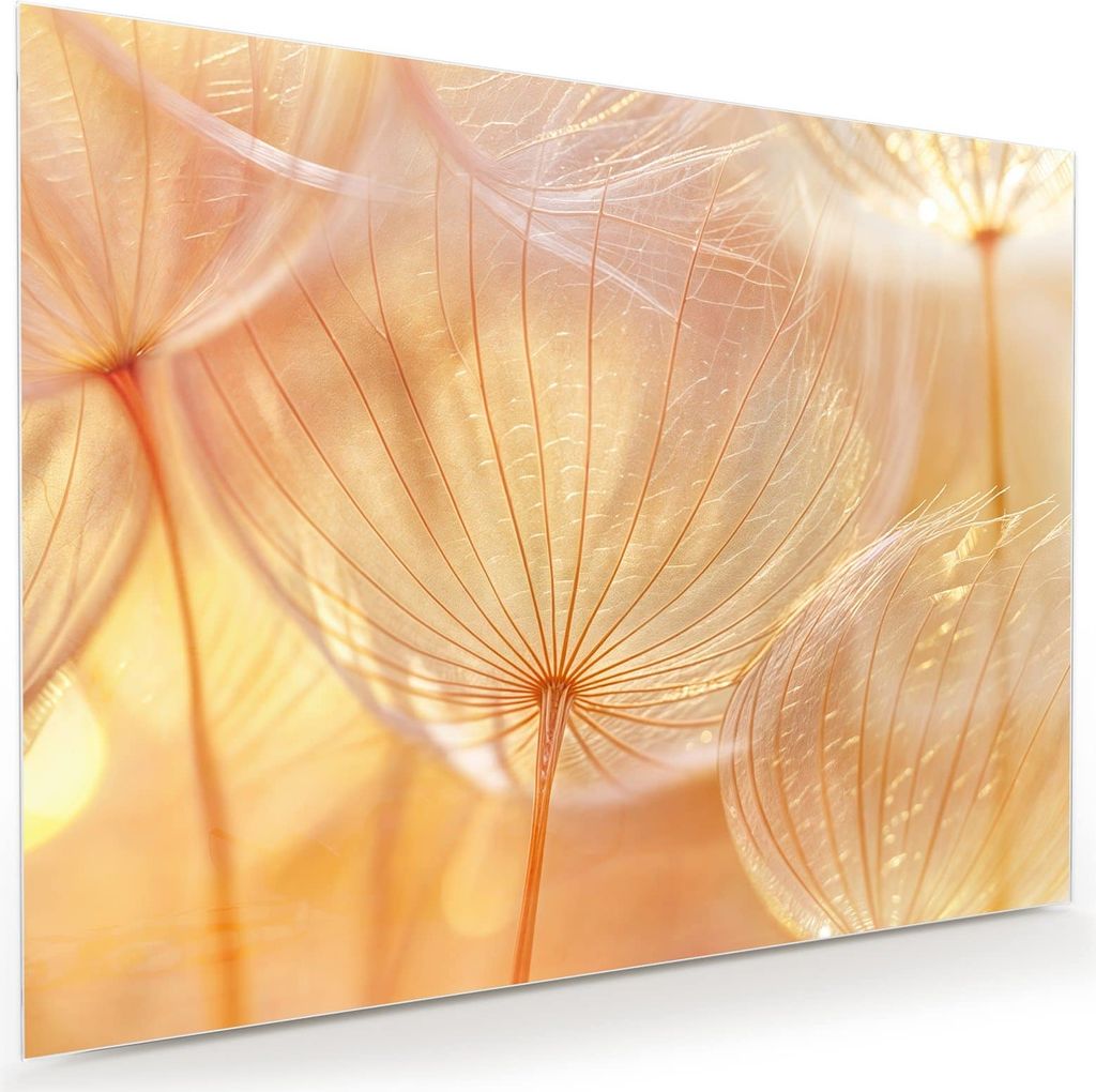 Glasbild 120x90cm in XXL für Wohnzimmer, Schlafzimmer Motiv Dandelion Makroaufnahme