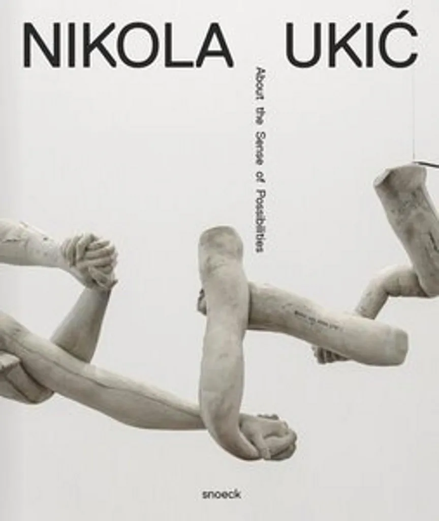 Livre Nikola Ukic : Vision Artistique et Design Contemporain Innovant