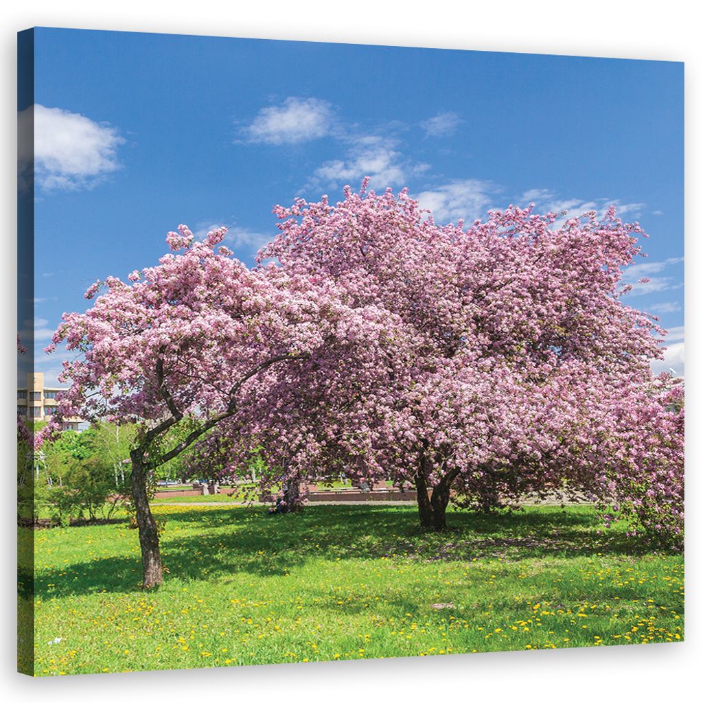 Leinwandbild landschaften - rosa 60x60 cm Feeby rosa wandbild bereit zum aufhängen