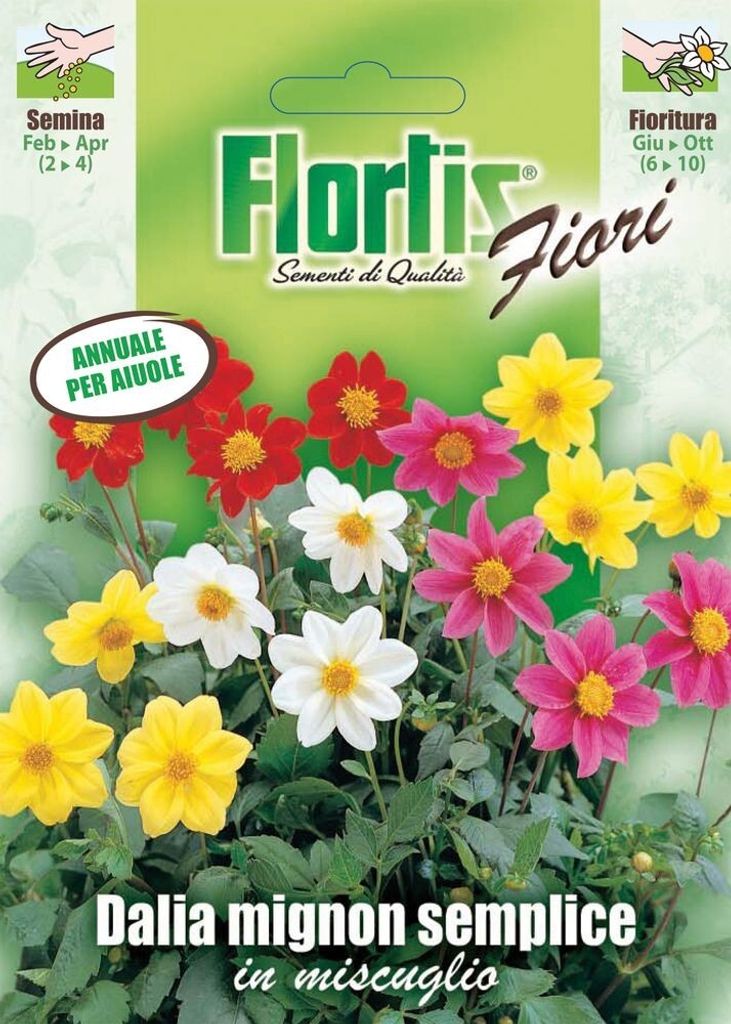 Dahlia Mignon Mischung | Dahliensamen von Flortis