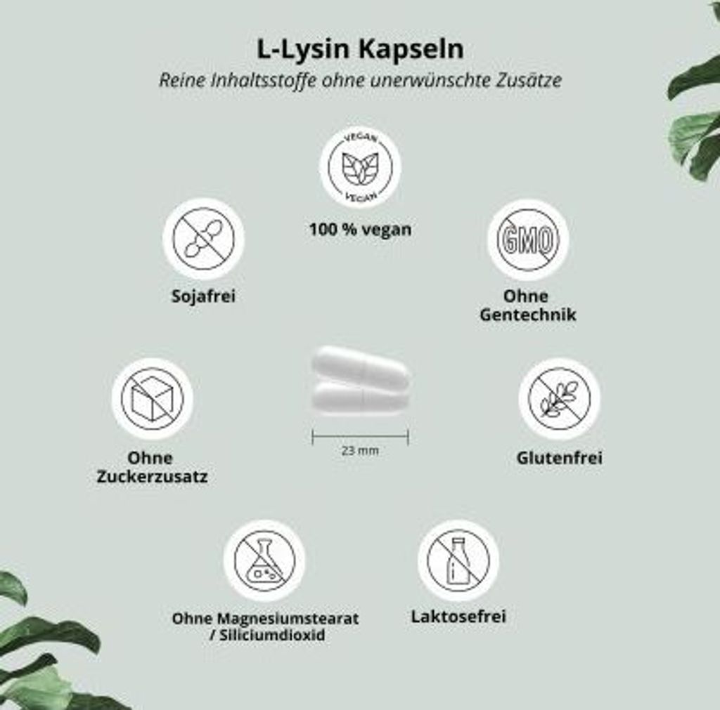 nutri+ vegane L-Lysin Kapseln, 120 Kapseln Dose Produktbild 3