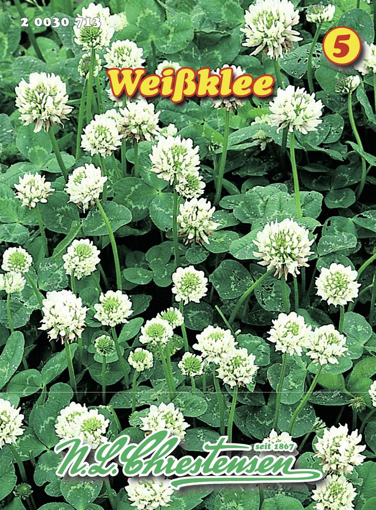 Weißklee | Gründünger von N.L. Chrestensen Produktbild 