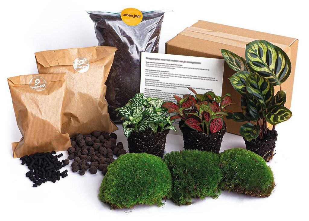 Grüne Flasche – Komplettset für den Garten aus Flaschen – Produktbild 