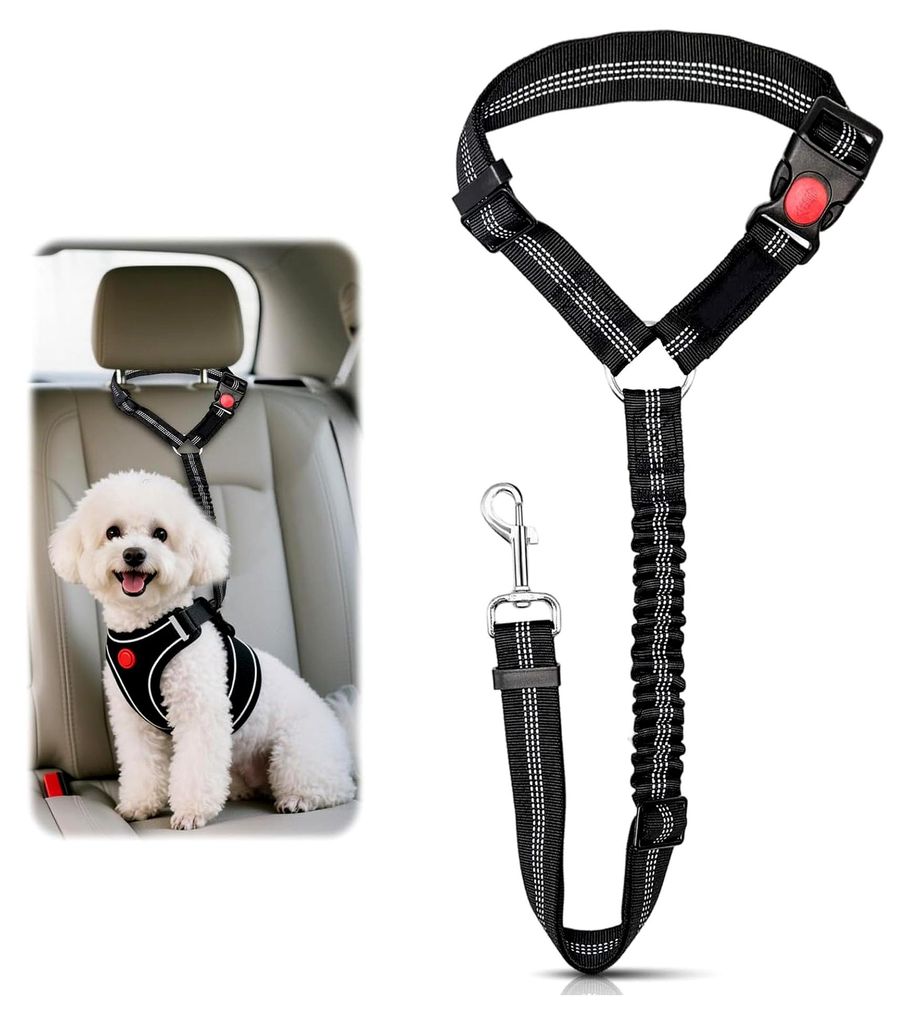 Hundesicherheitsgurt für das Auto, Verstellbarer Hundegurt für kleine und mittelgroße Hunde, Elastischer Hundeanschnallgurt