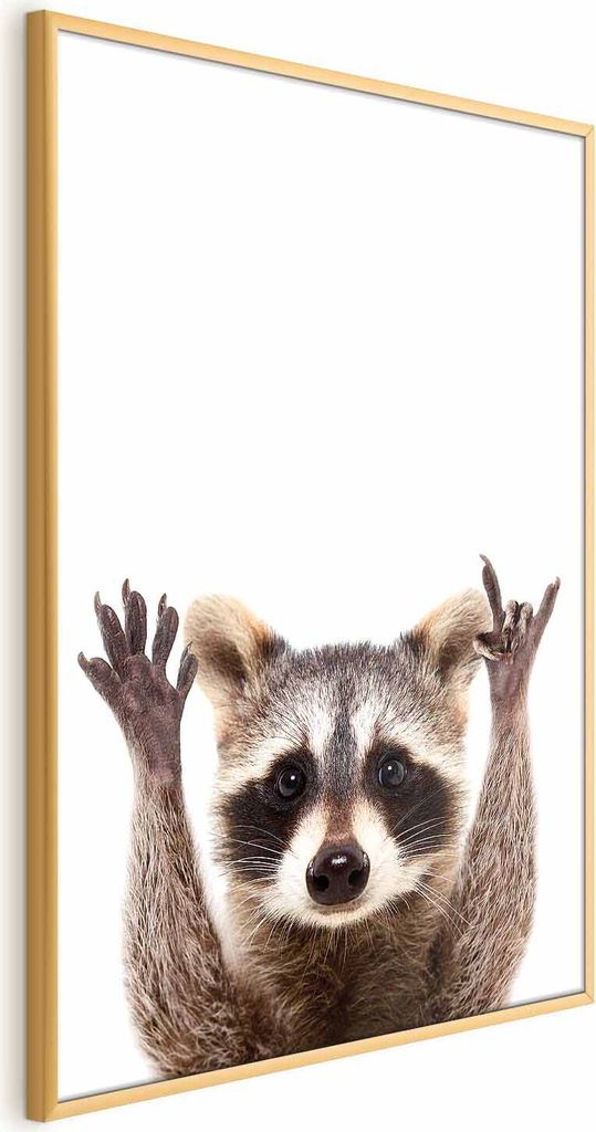 Posterpapier Poster - Raccoon 29.7x42 cm Für Kinder g-B-0097-ao-a