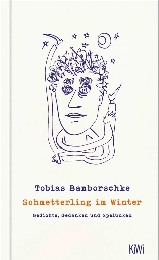 Schmetterling im Winter