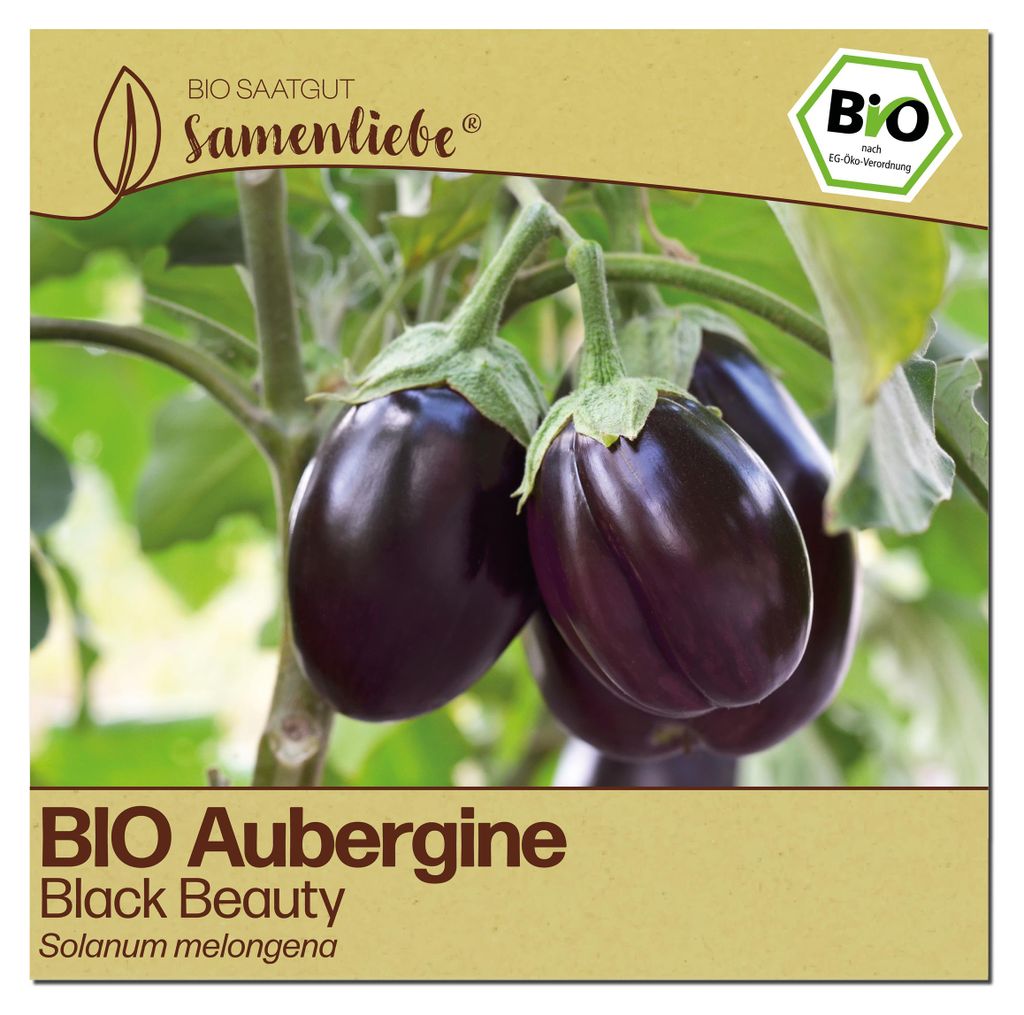 Samenliebe  Aubergine Samen | Black Beauty - dunkelviolett Produktbild 