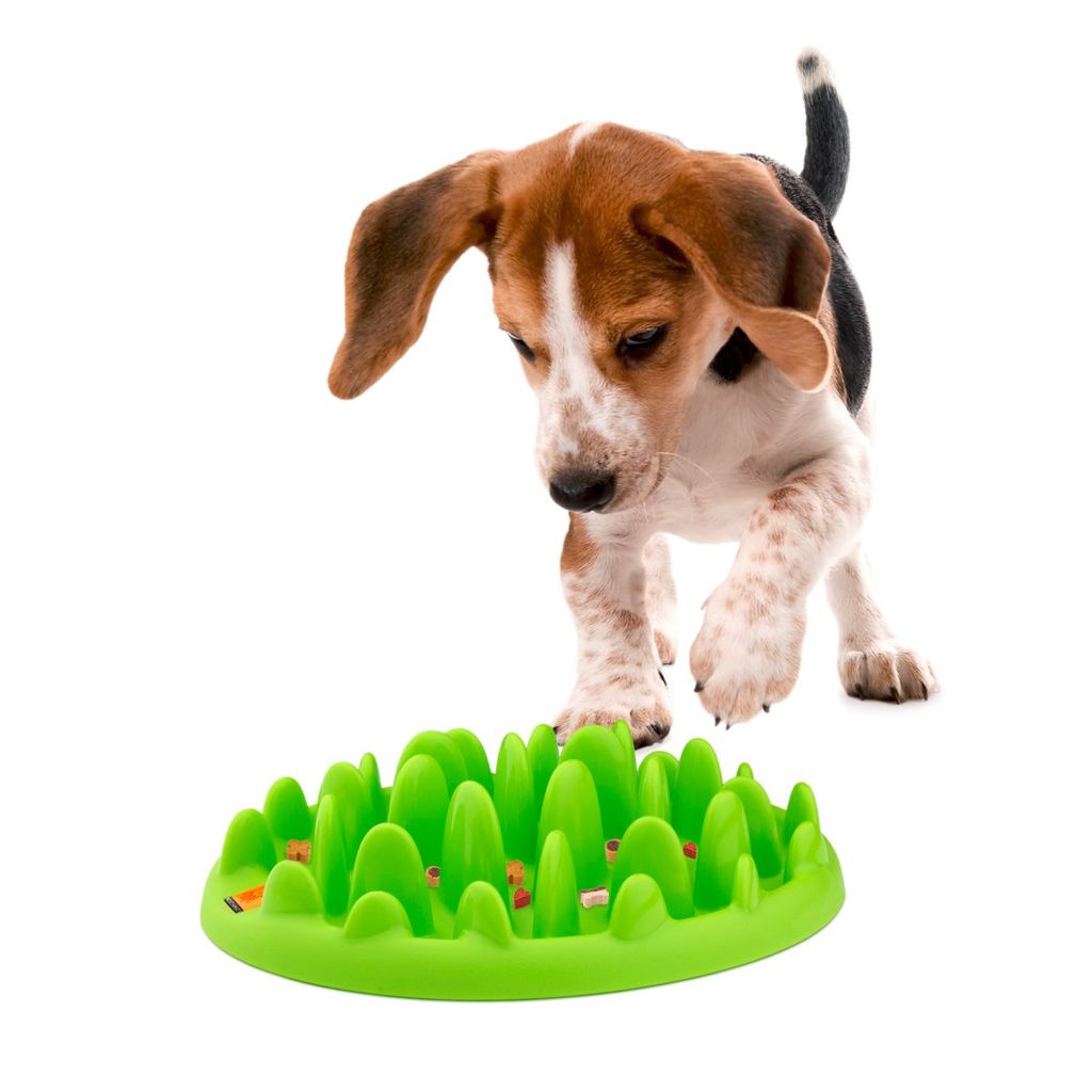 Karlie - Northmate®Green Mini 29X22,5X7Cm Vert - 44100 Image du produit 