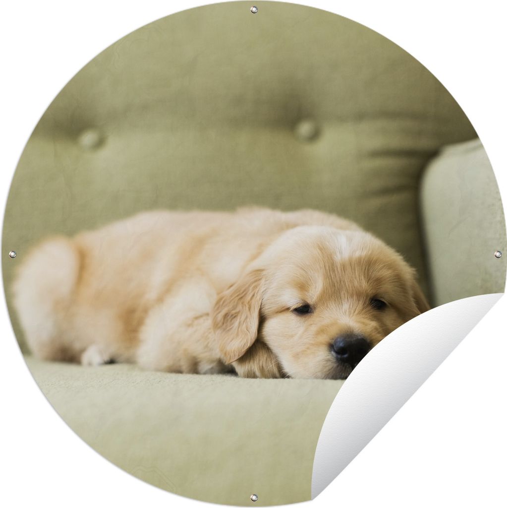 MuchoWow Gartenposter Outdoor-Poster Rund Ein schlafender Golden Retriever Welpe auf dem Sofa Ø 120 cm Gartendeko Rundes Poster draußen