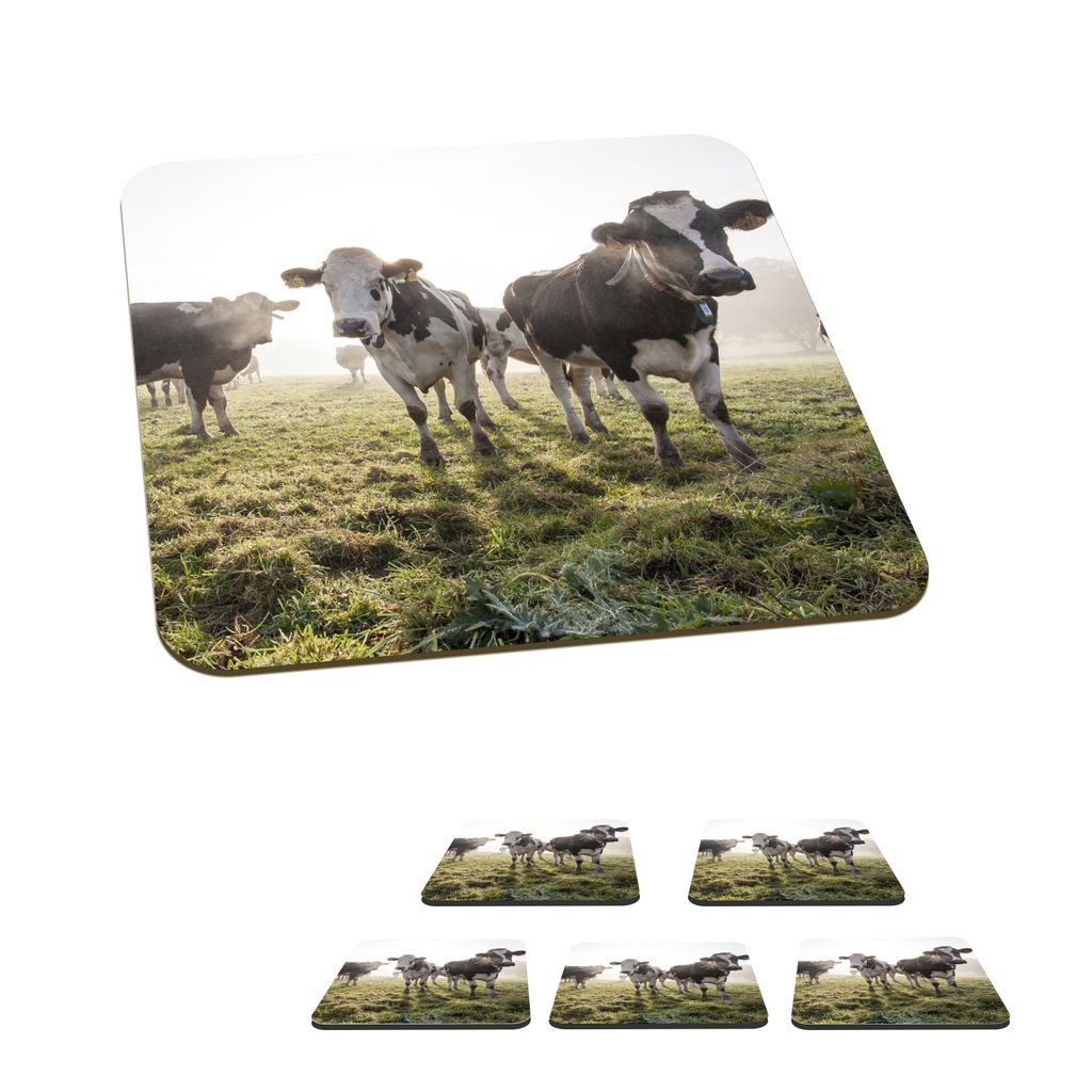 KitchenYeah Glasuntersetzer Quadratisch 6er Set Kuh - Gras - Nebel 10x10 cm Untersetzer für Gläser - Getränkeuntersetzer - Tischplattenschutz ...