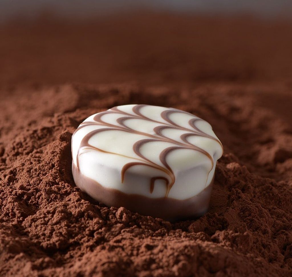 Lindt Pralines Hochfein z klasyczną, delikatną czekoladą Zdjęcie produktu 15
