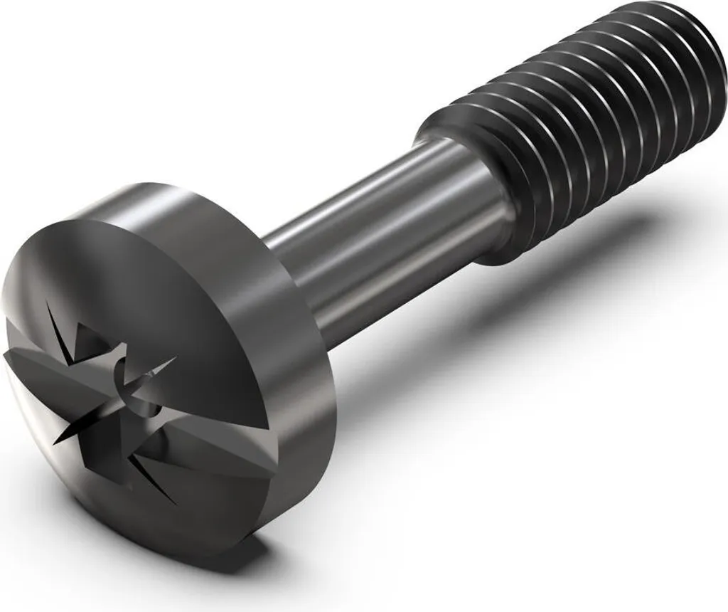 Vite Schroff 21101102 M2.5x12.3mm Nera - Disponibile in Stock