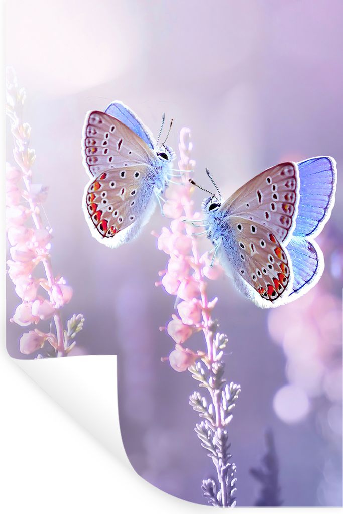MuchoWow Wandtattoo Wandsticker Wandaufkleber Schmetterling - Lavendel - Blumen - Lila 80x120 cm Selbstklebend und Repositionierbar - Repositioni...